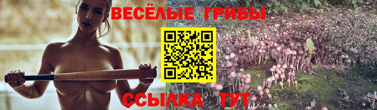 Галлюциногенные грибы Cubensis  Галлюциногенные грибы Psilocybine cubensis  Вход с VPN  Лесозаводск 